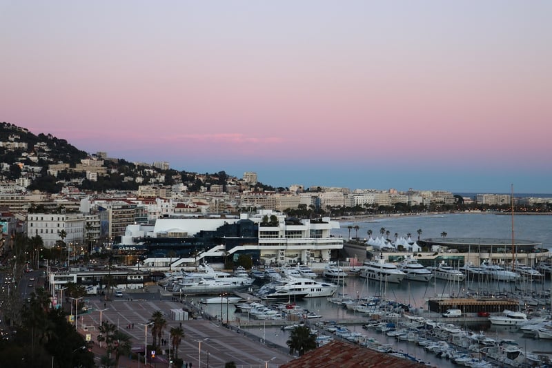 Cannes Film Festival Red Carpet